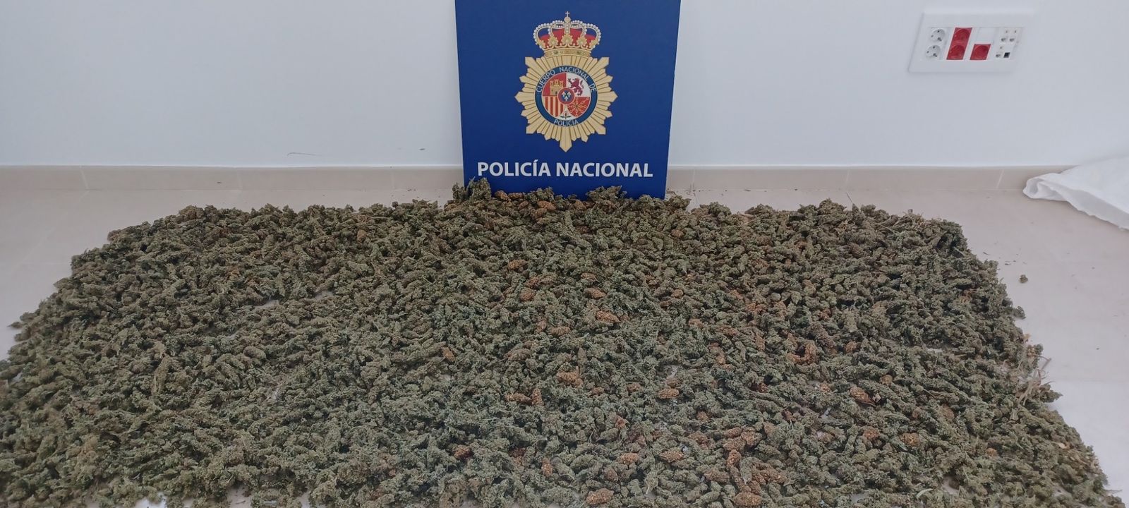 La marihuana incautada por la Policía Nacional en Sanlúcar.