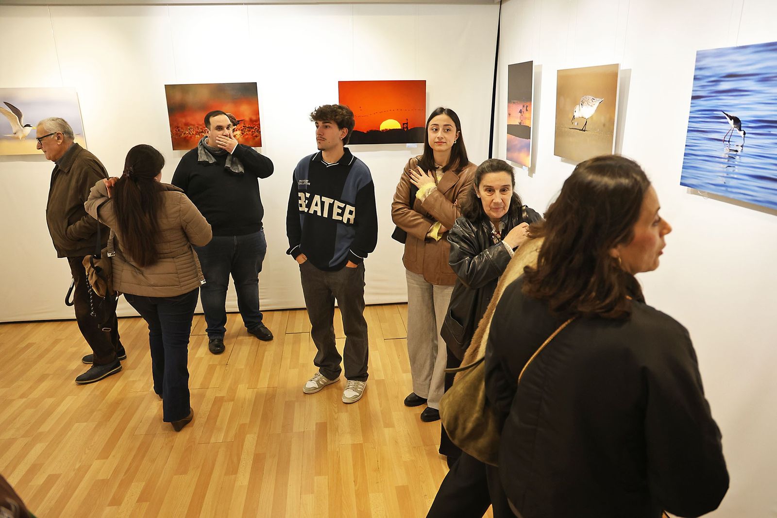 La exposición 'Alas del Odiel', inaugurada este martes.