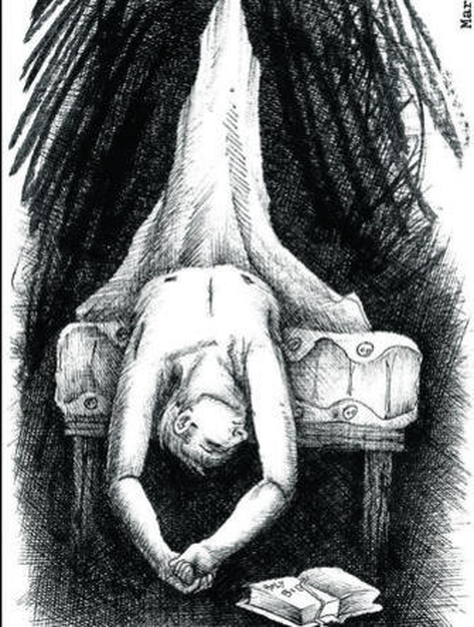 La colección otorga gran protagonismo a las ilustraciones de las obras.