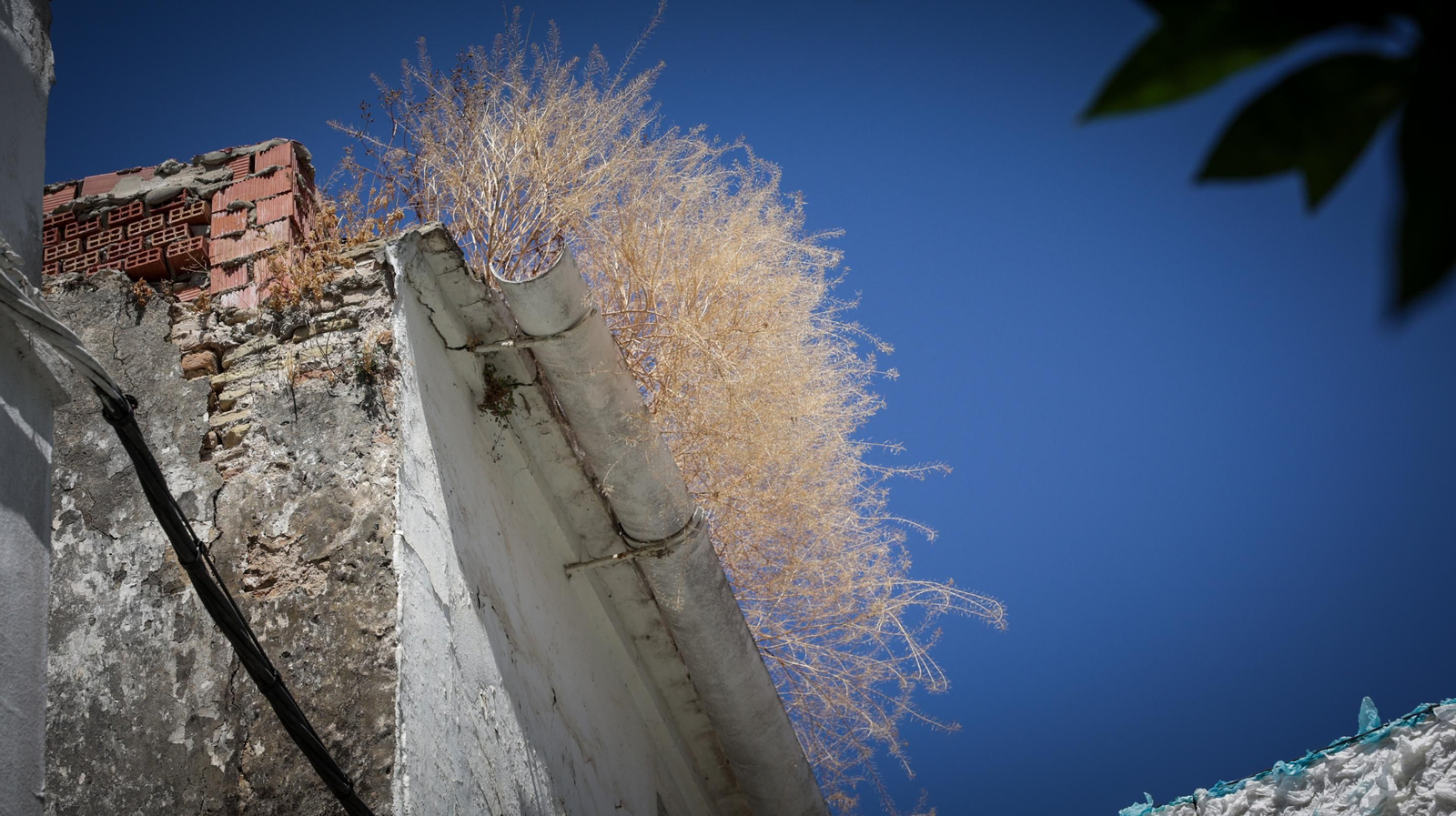 Imágenes de la calle Francos de Jerez