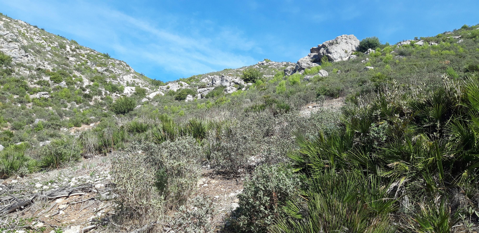 Las fotos de la ruta del castillo de Cote, en Montellano