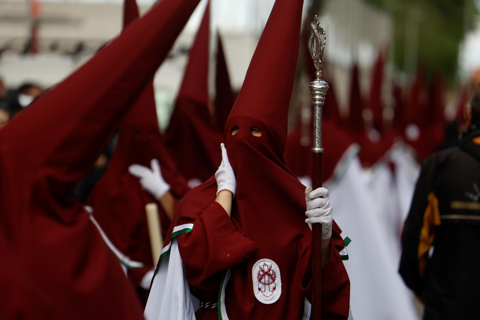 Las imagenes de la hermandad de la Piedad el Miércoles Santo en Córdoba Las imagenes de la hermandad de la Piedad el Miércoles Santo en Córdoba