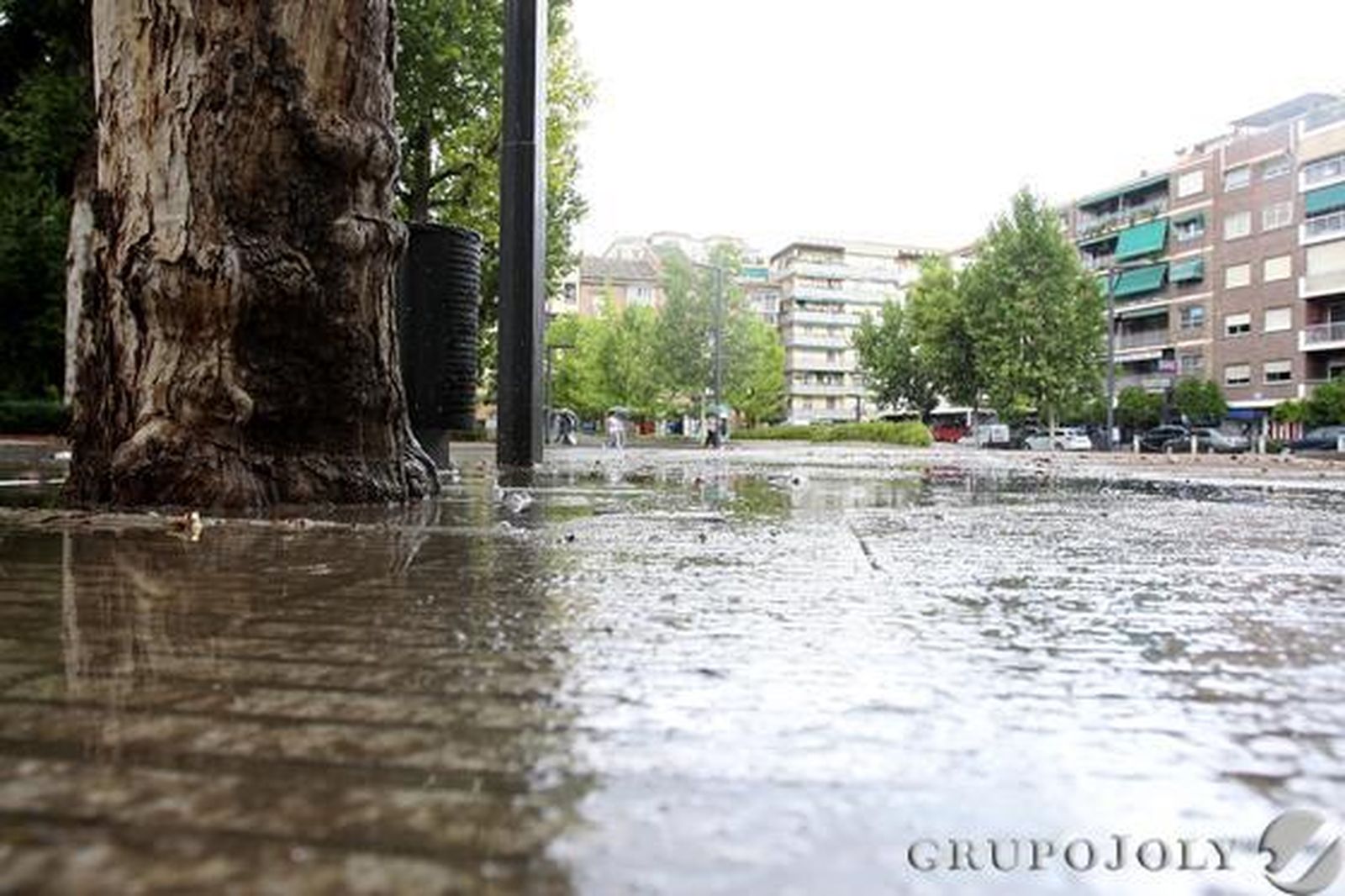 Foto: M.De La Cruz/ Granada Hoy
