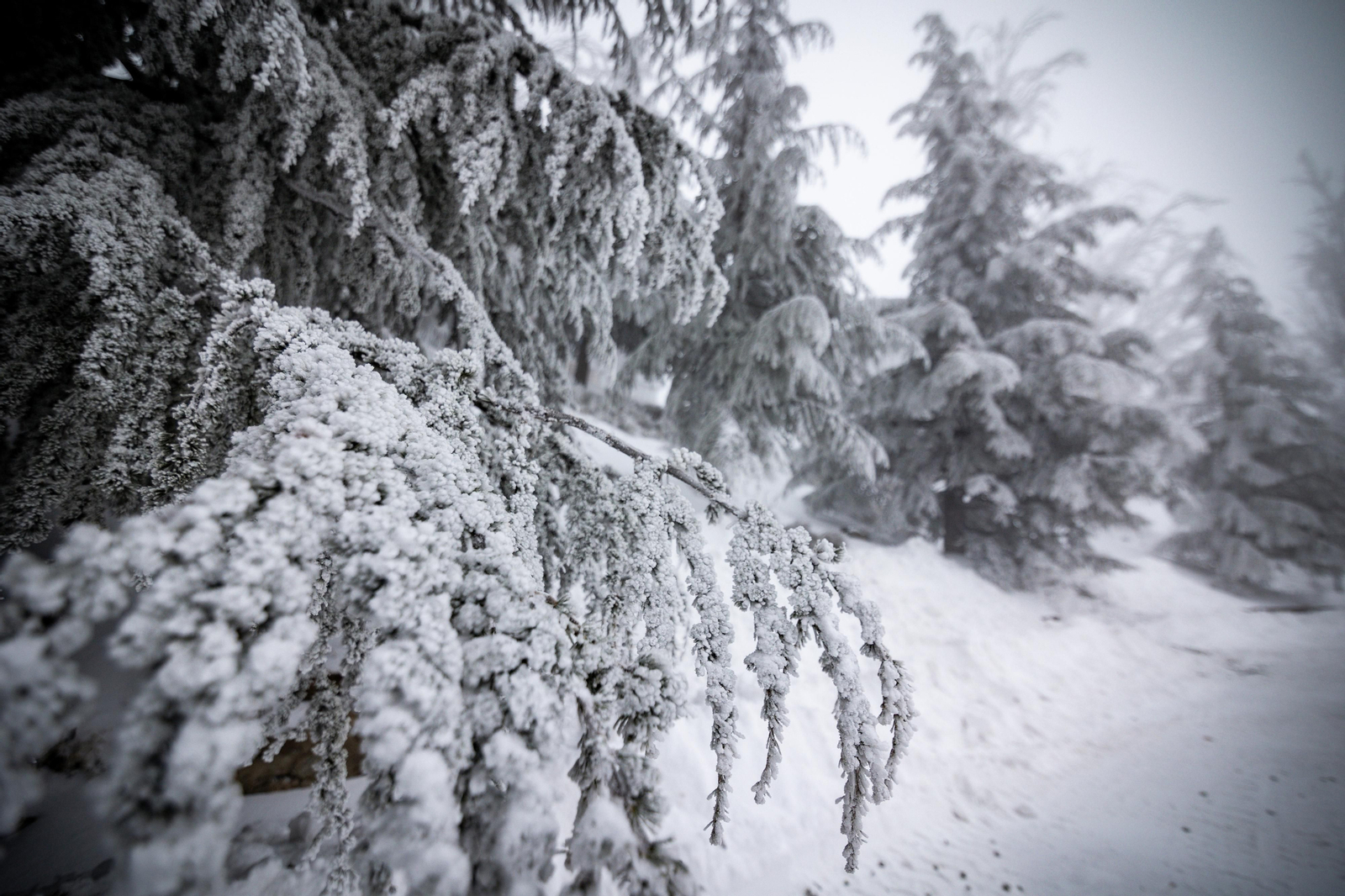 La copiosa nevada registrada en Sierra Nevada, en imágenes