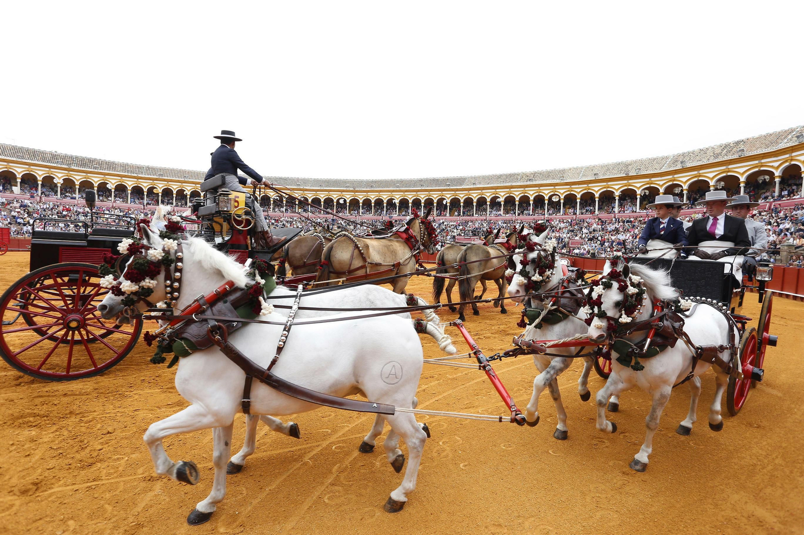 La 34º exhibición de enganches de la Feria de Sevilla en imágenes