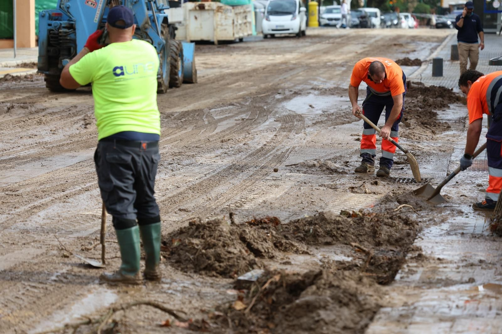 WhatsApp Image 2024-11-14 at 14.37.09.jpeg