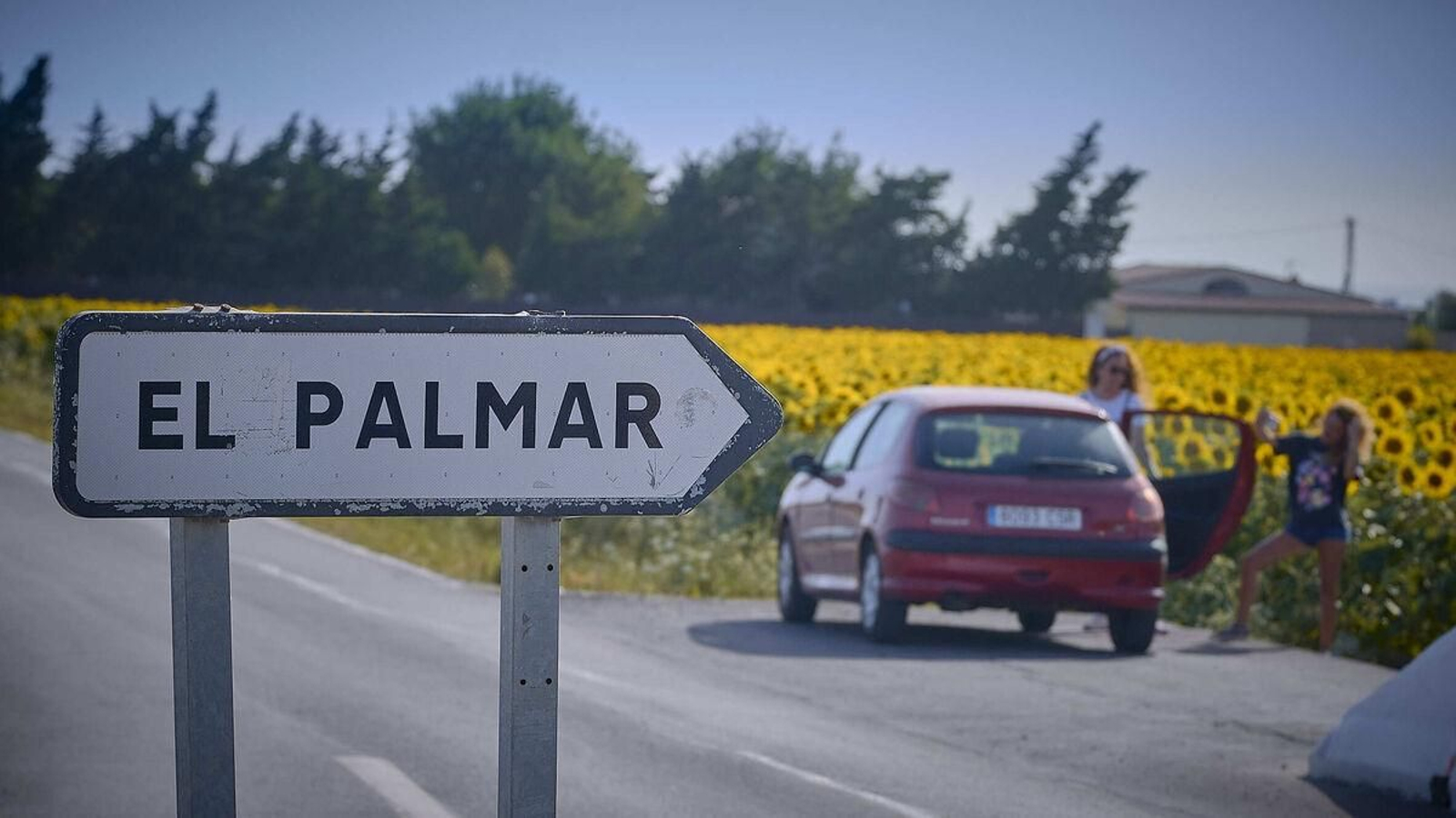 Un cartel en la carretera que indica la dirección de El Palmar.