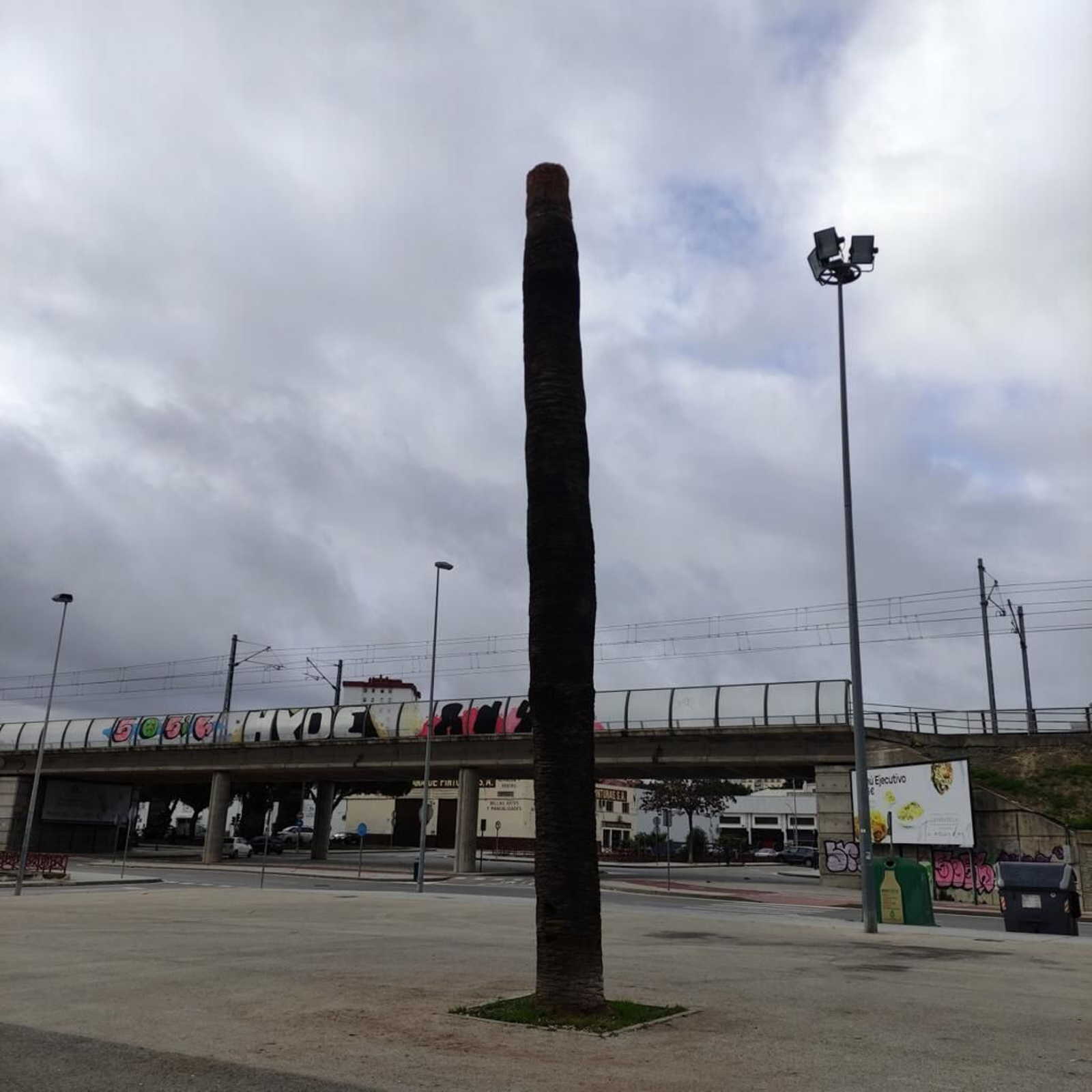 Ecologistas en Acción alerta contra el picudo rojo y el picudo negro en Jerez.