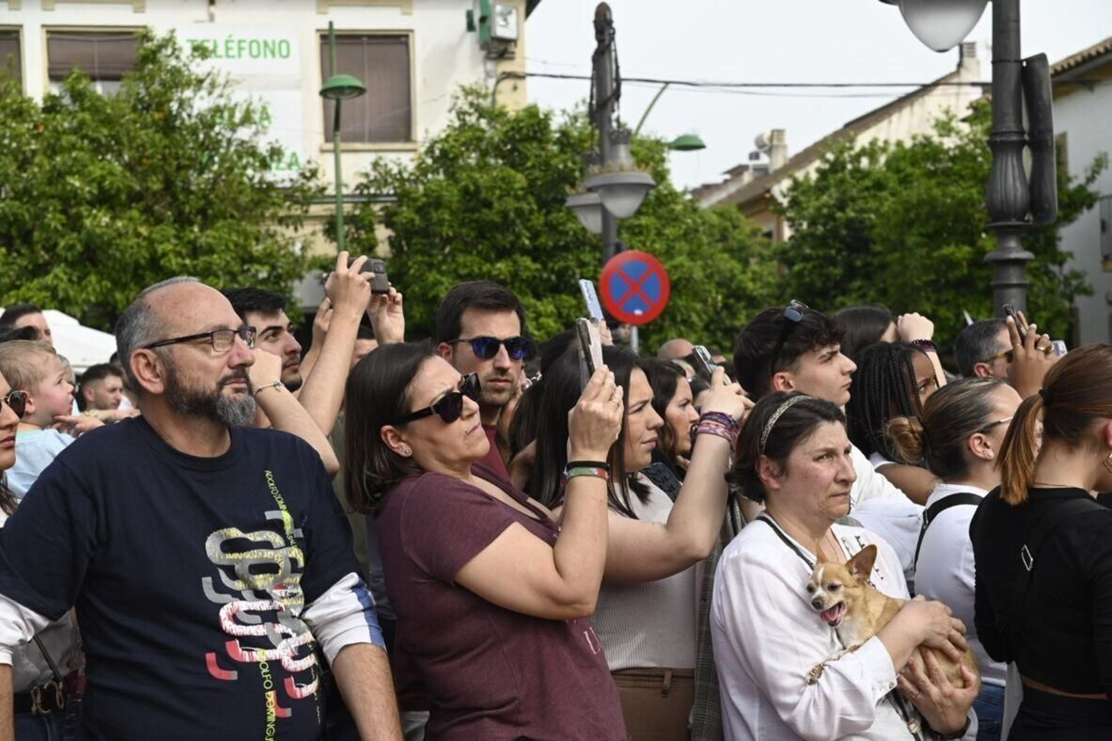 La procesión de la Presentación al Pueblo de Córdoba, en imágenes