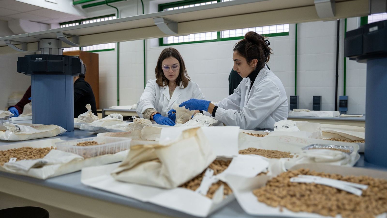 Selección de las variedades de olivo por parte de investigadoras de la UCO.