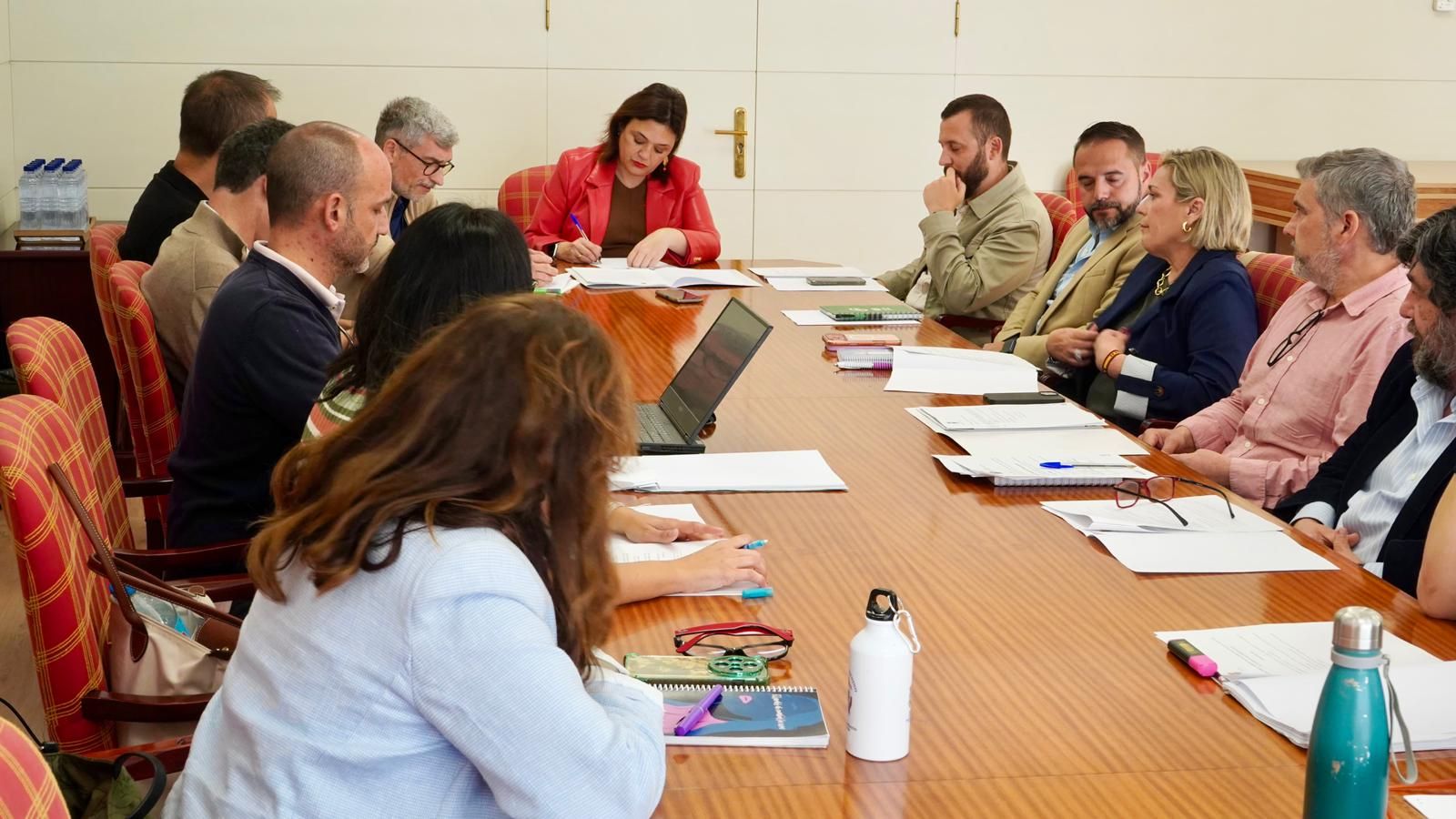 El Ayuntamiento de Torremolinos constituye la mesa para elaborar el II ...