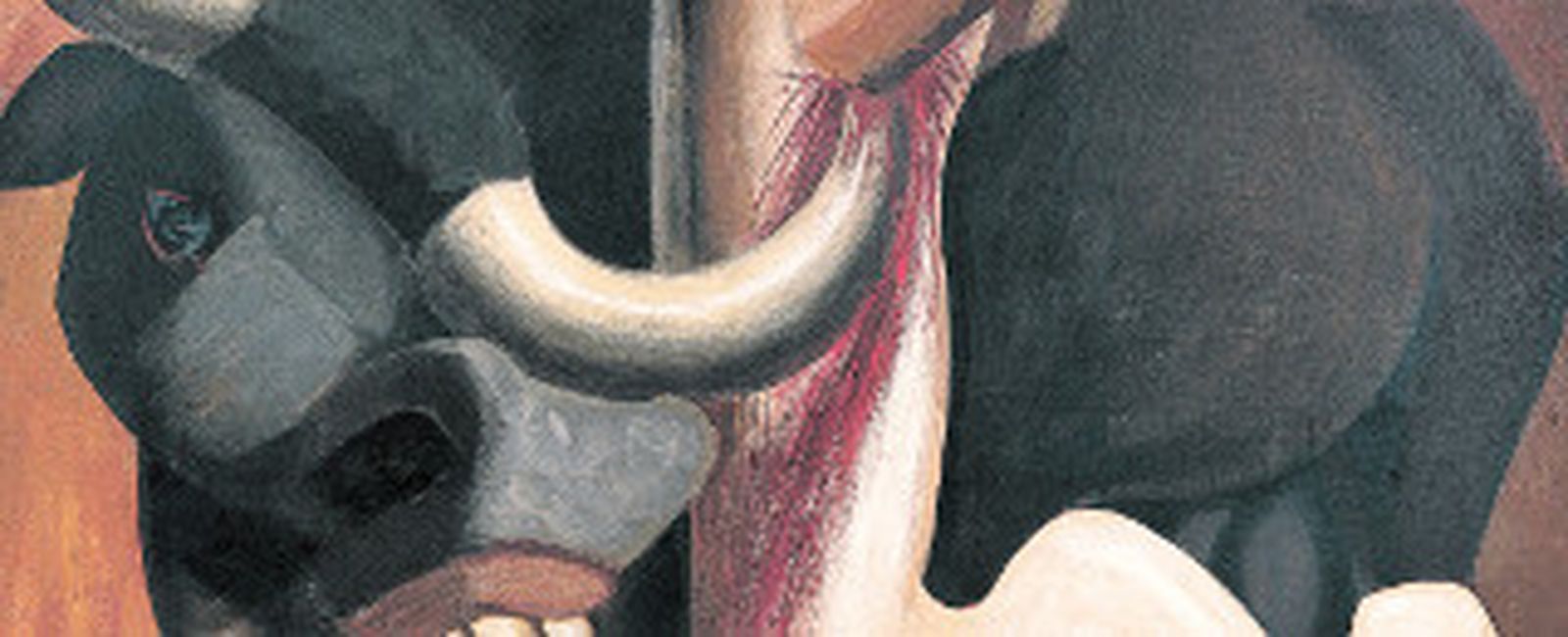 División de opiniones