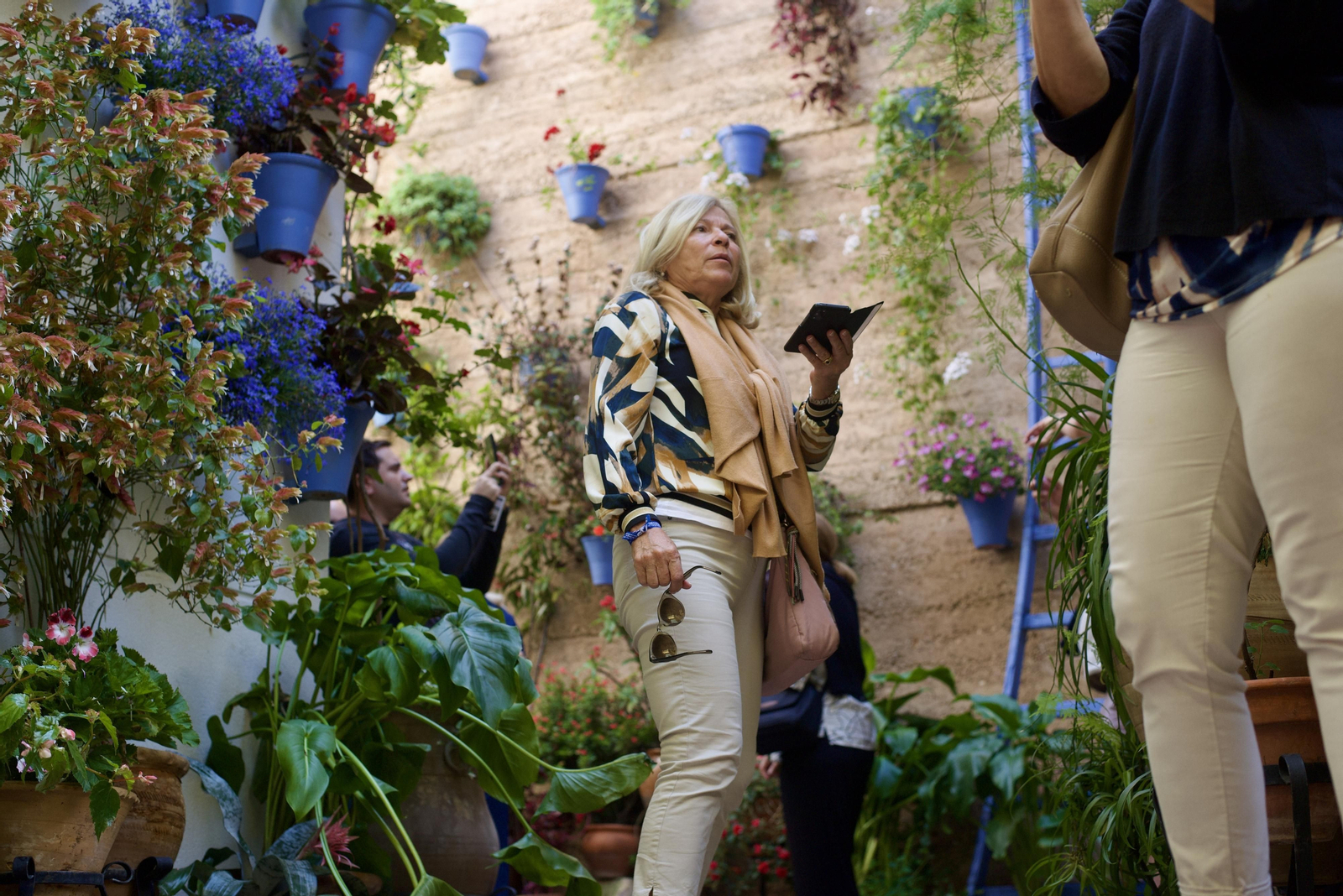 Los Patios de la Ruta del Alcázar Viejo, en imágenes