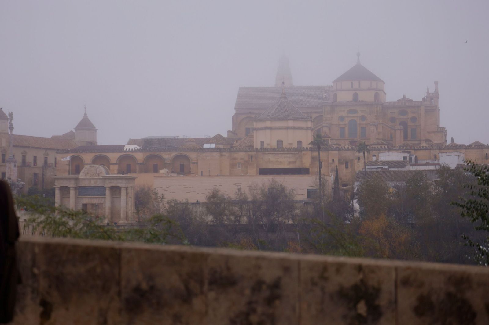 Córdoba amanece bajo la niebla el último día de 2025, en fotos