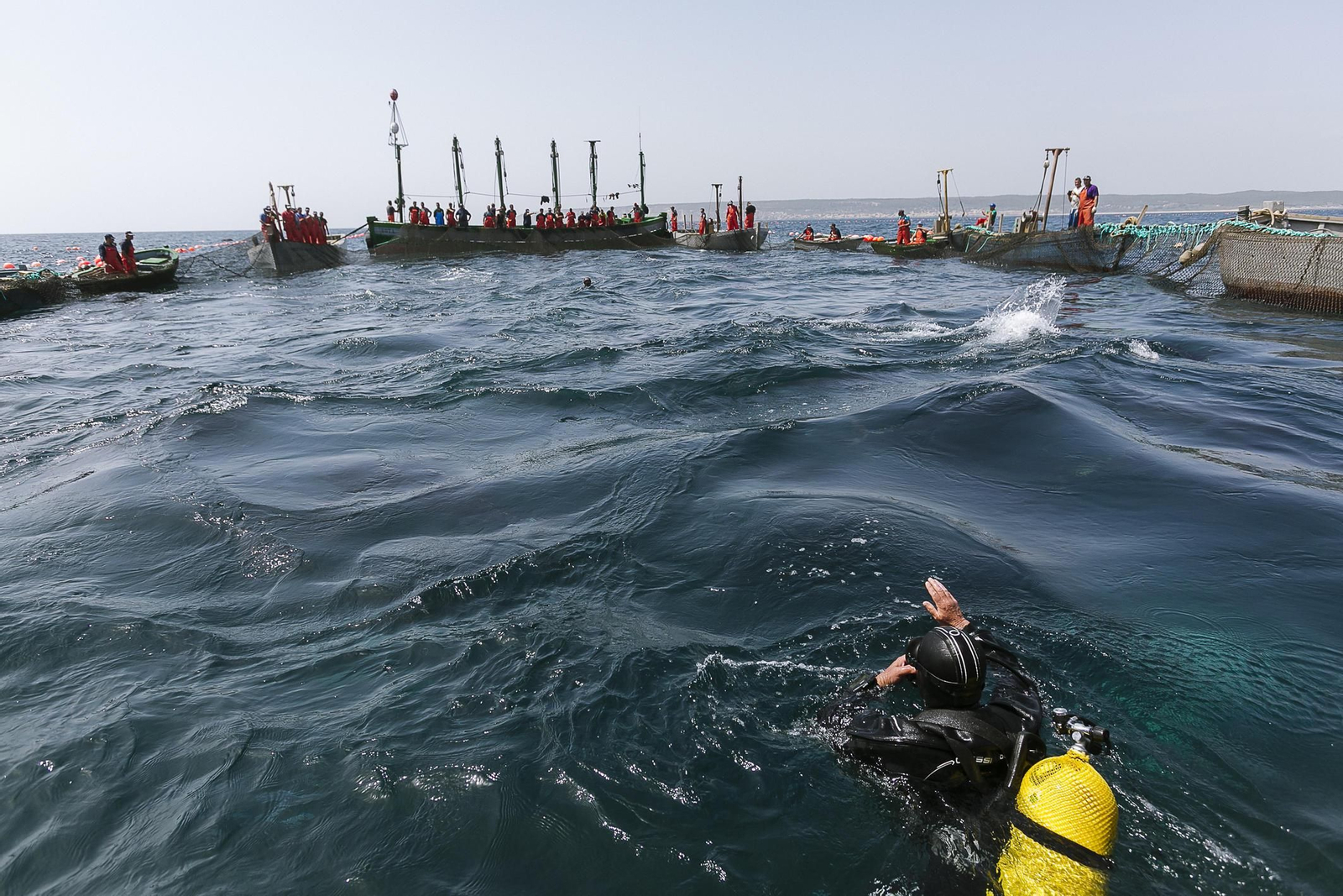 Imágenes de la primera levantá del año