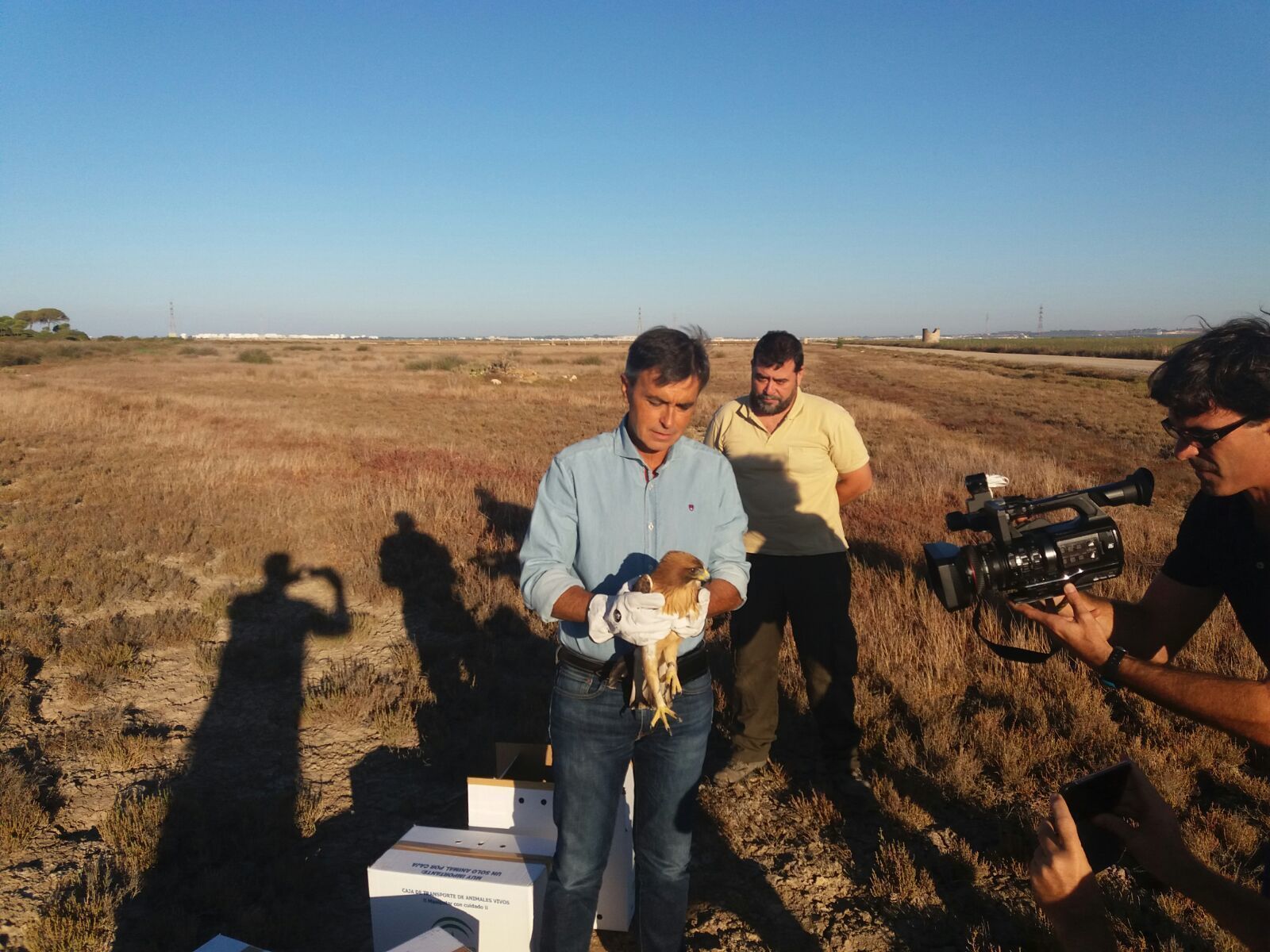 El delegado de la Agricultura, en el momento de la suelta, con motivo del Día Mundial de las Aves.