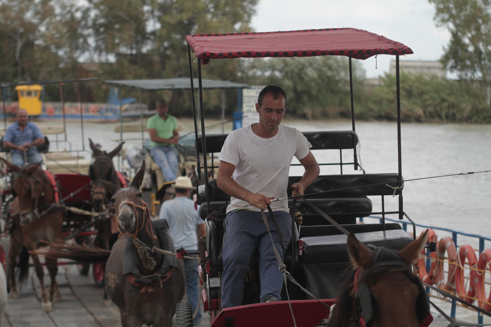 Hermandades cruzando el río Guadalquivir por Coria, en imágenes