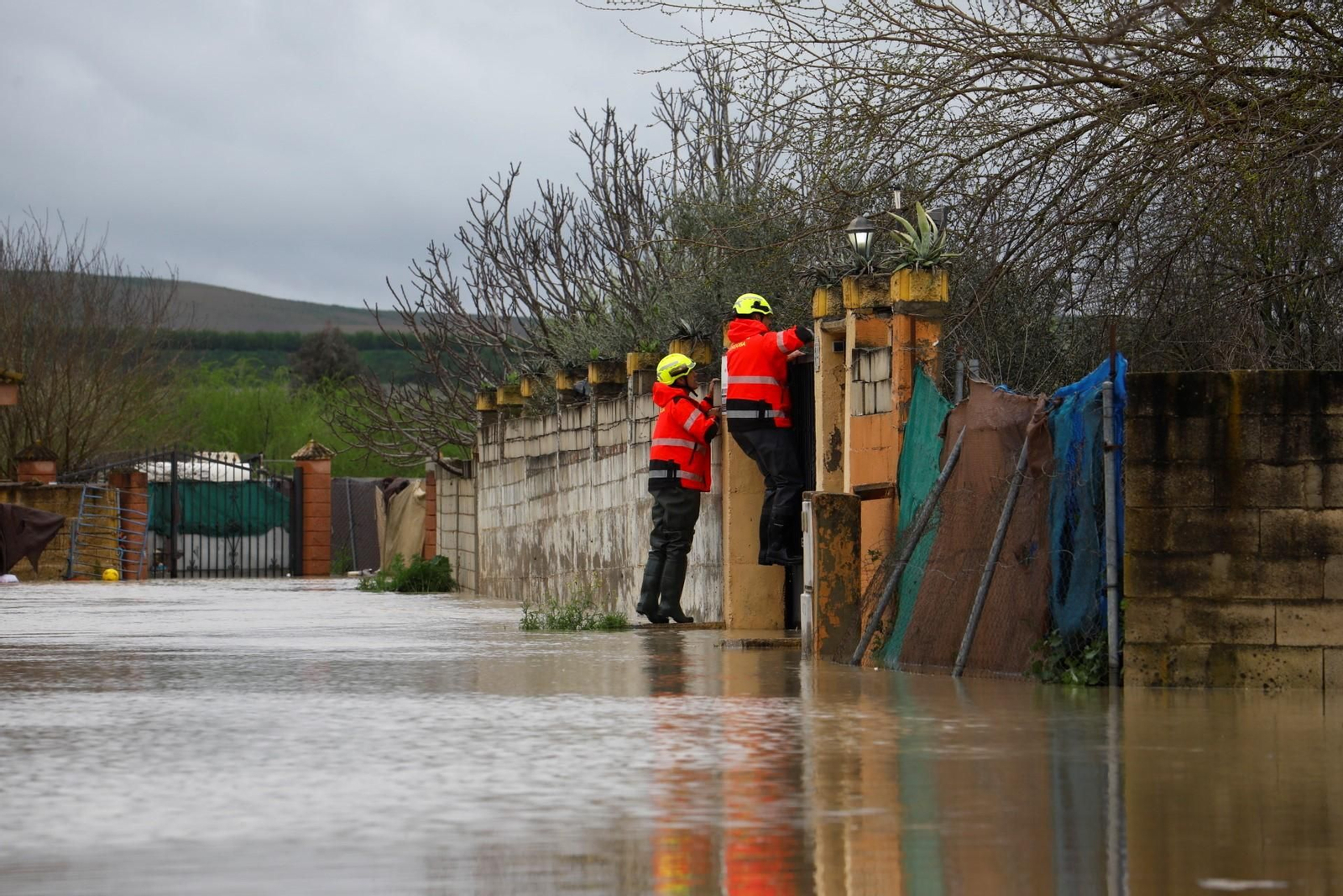 Las imágenes de las parcelaciones inundadas por la crecida del río Guadalquivir