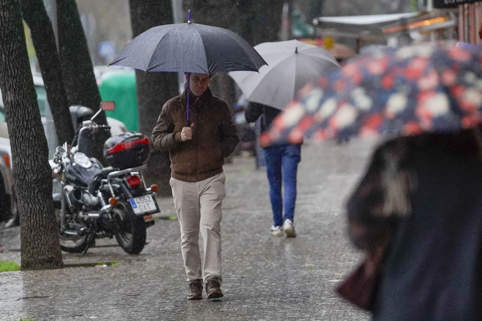 La intensa lluvia del miércoles 4 de Febrero, todas las fotos