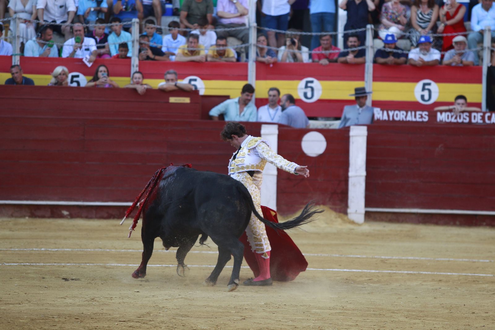 Imágenes del triunfo del torero almeriense Jorge Martínez el día de su alternativa