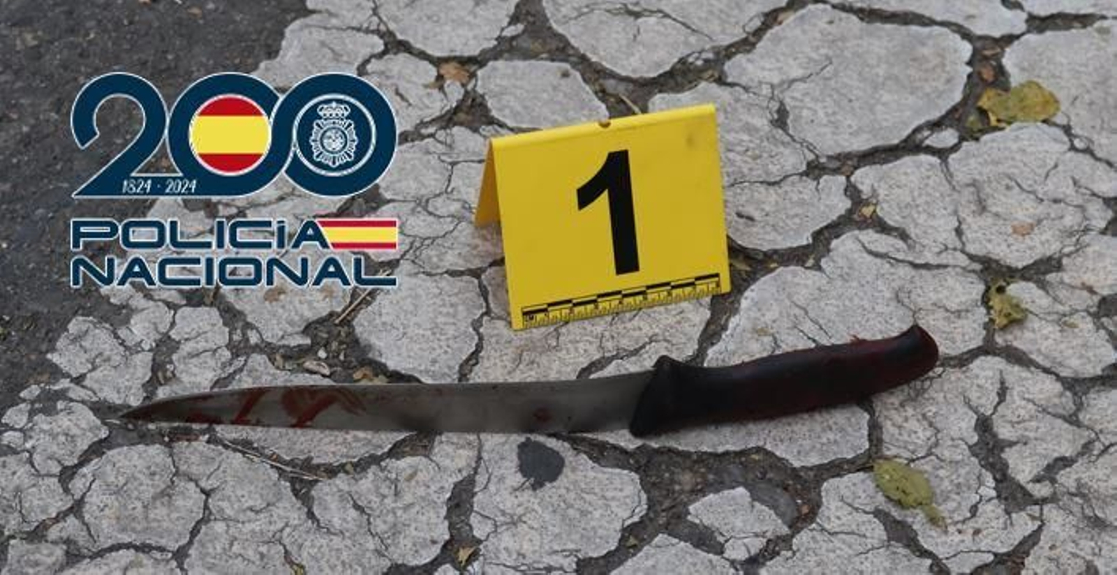 El cuchillo de 35 centímetros con el que se perpetró la puñalada