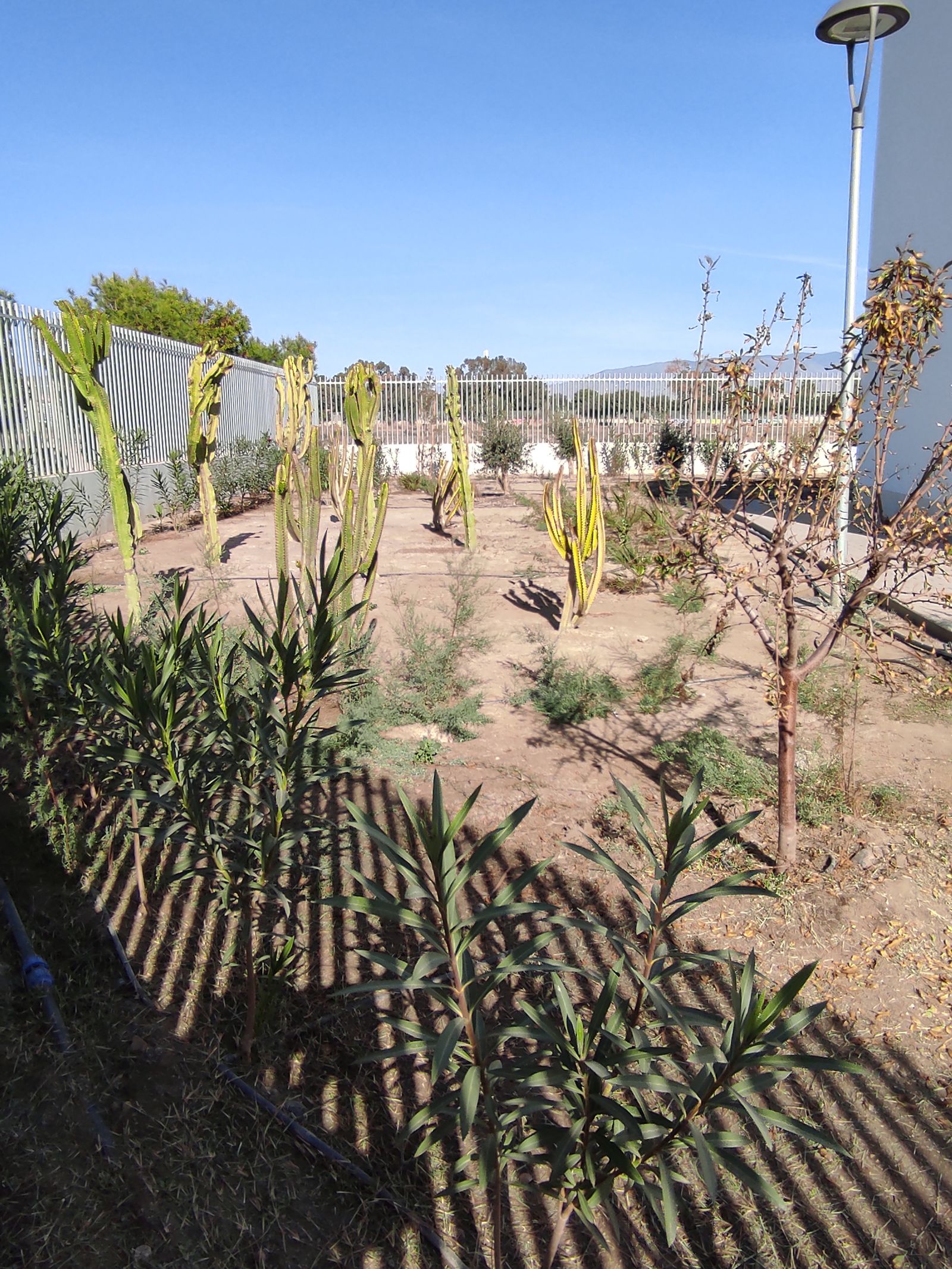 Vista exterior del Ecomuseo