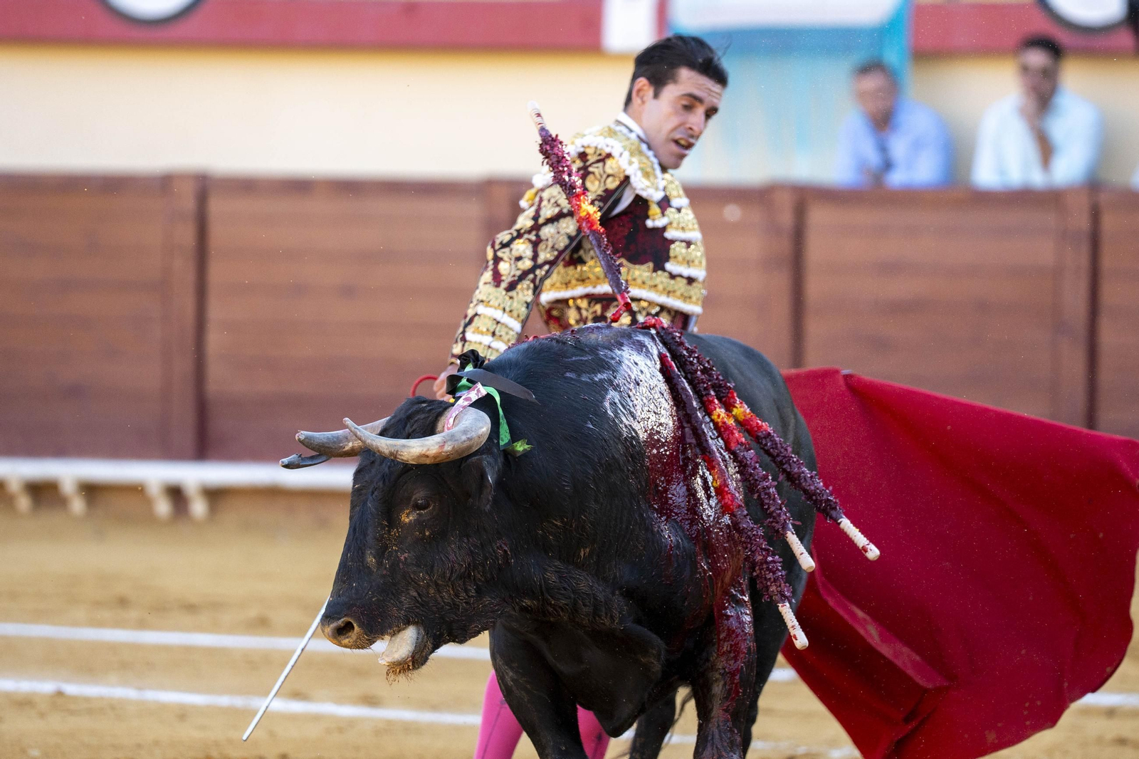 Las imágenes de los toros en Vera