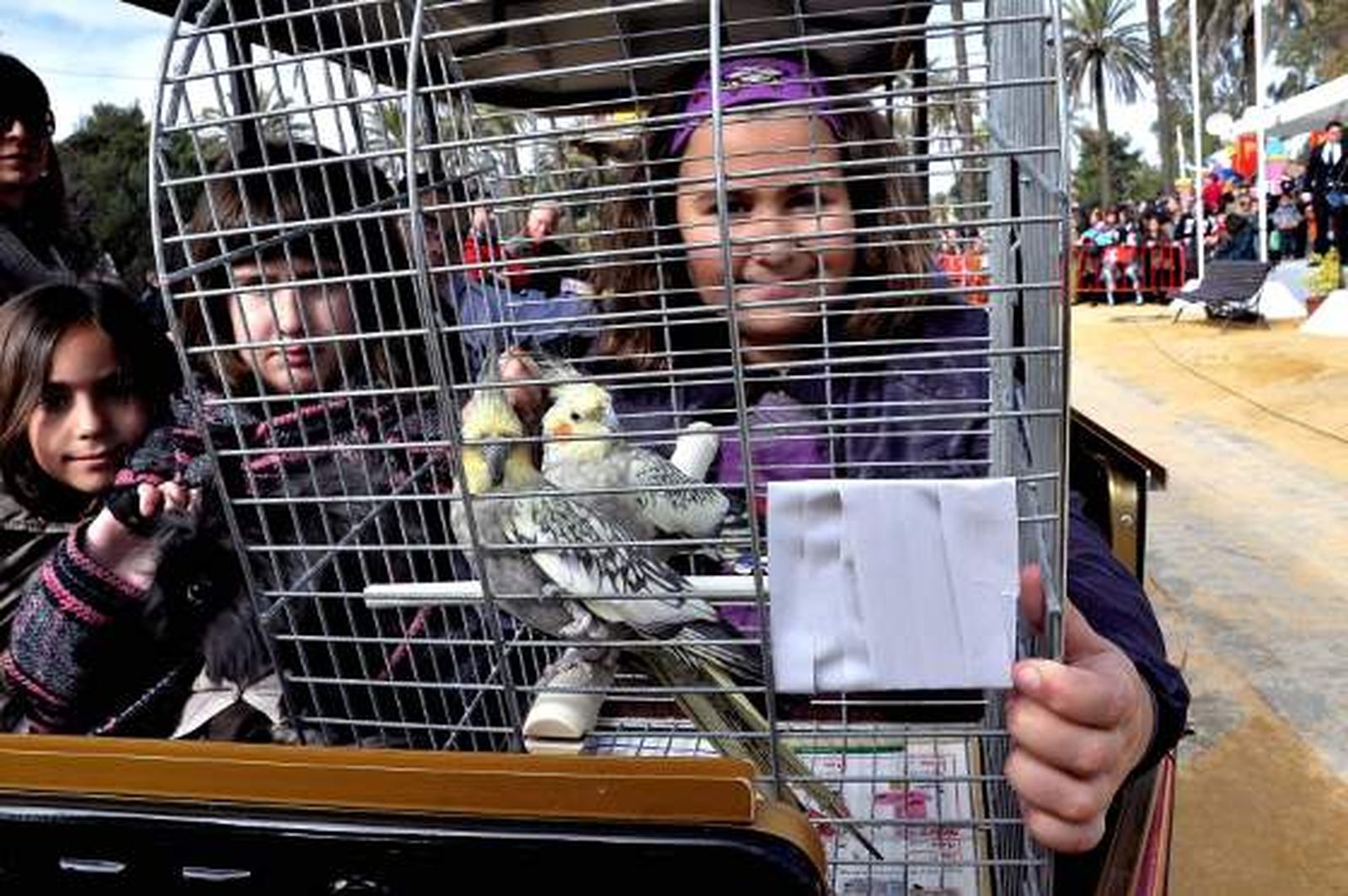 El parque González Hontoria acoge un año más la festividad de San Antón en el que los perros protagonizan la celebración pues de los 800 animales inscritos 600 eran canes.

Foto: Manu Garcia