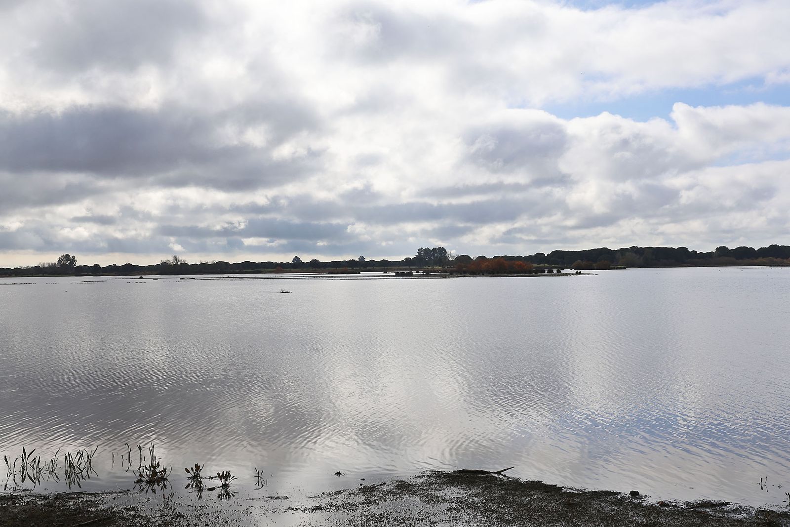 Estado actual en el que se encuentran las Marismas del Rocío tras las últimas lluvias