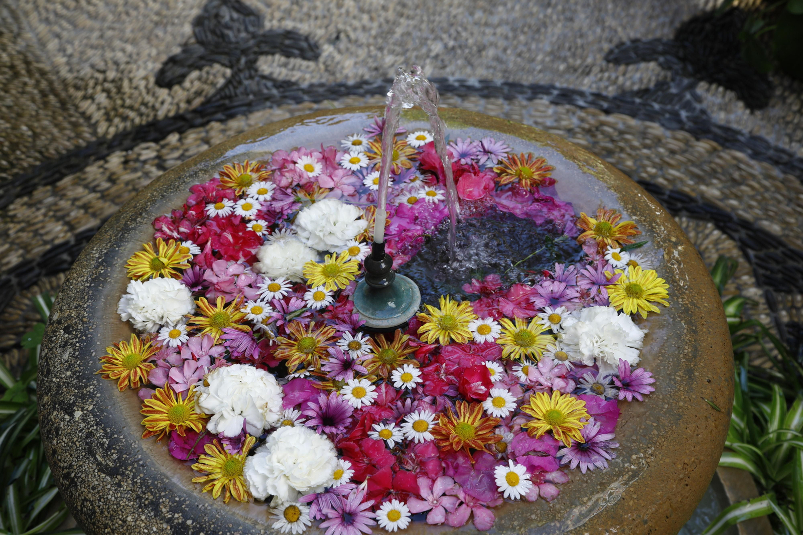 Los Patios de Córdoba se preparan para el fin de semana, en imágenes