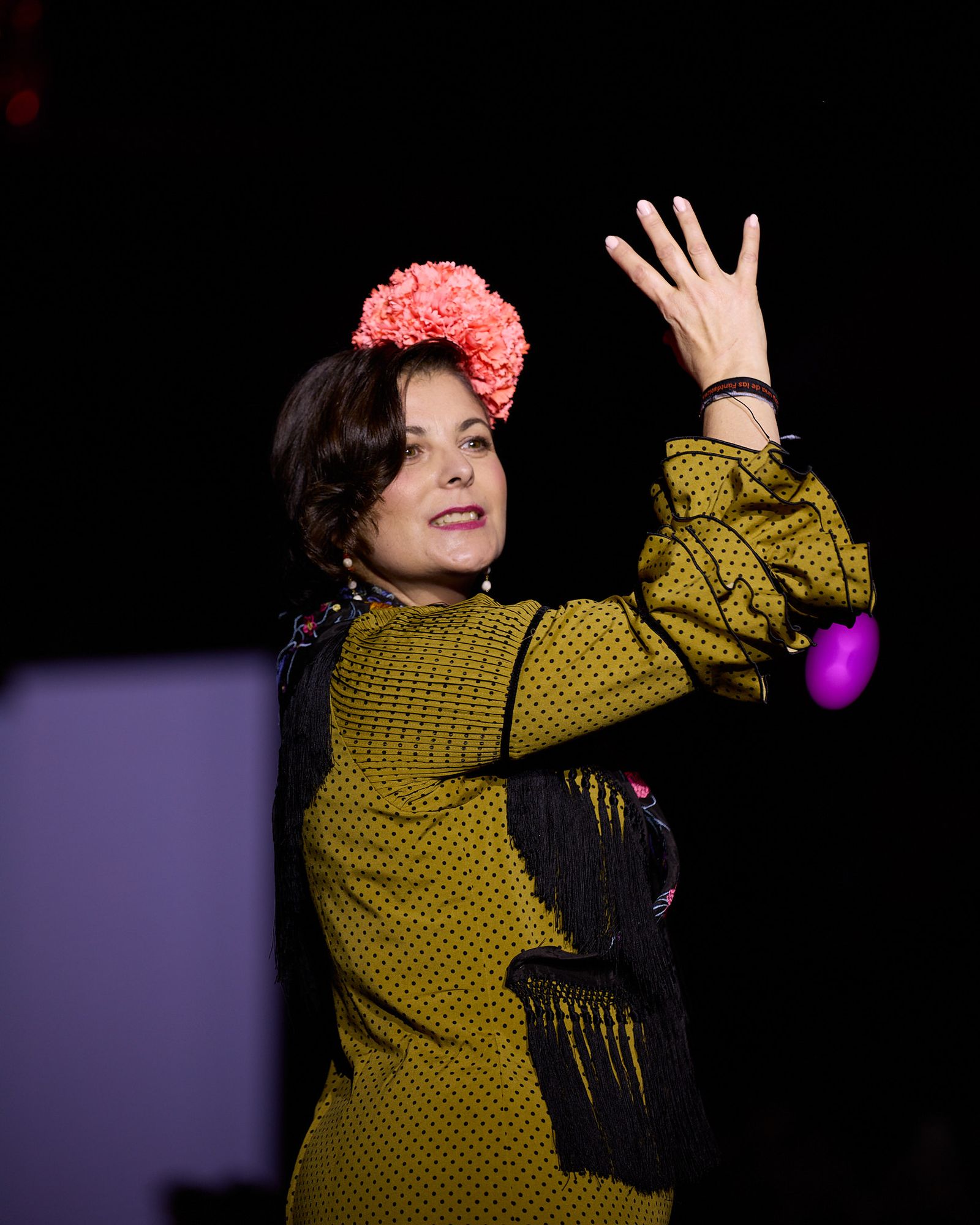 El desfile de la Fundación Sandra Ibarra en We Love Flamenco 2026, todas las fotos