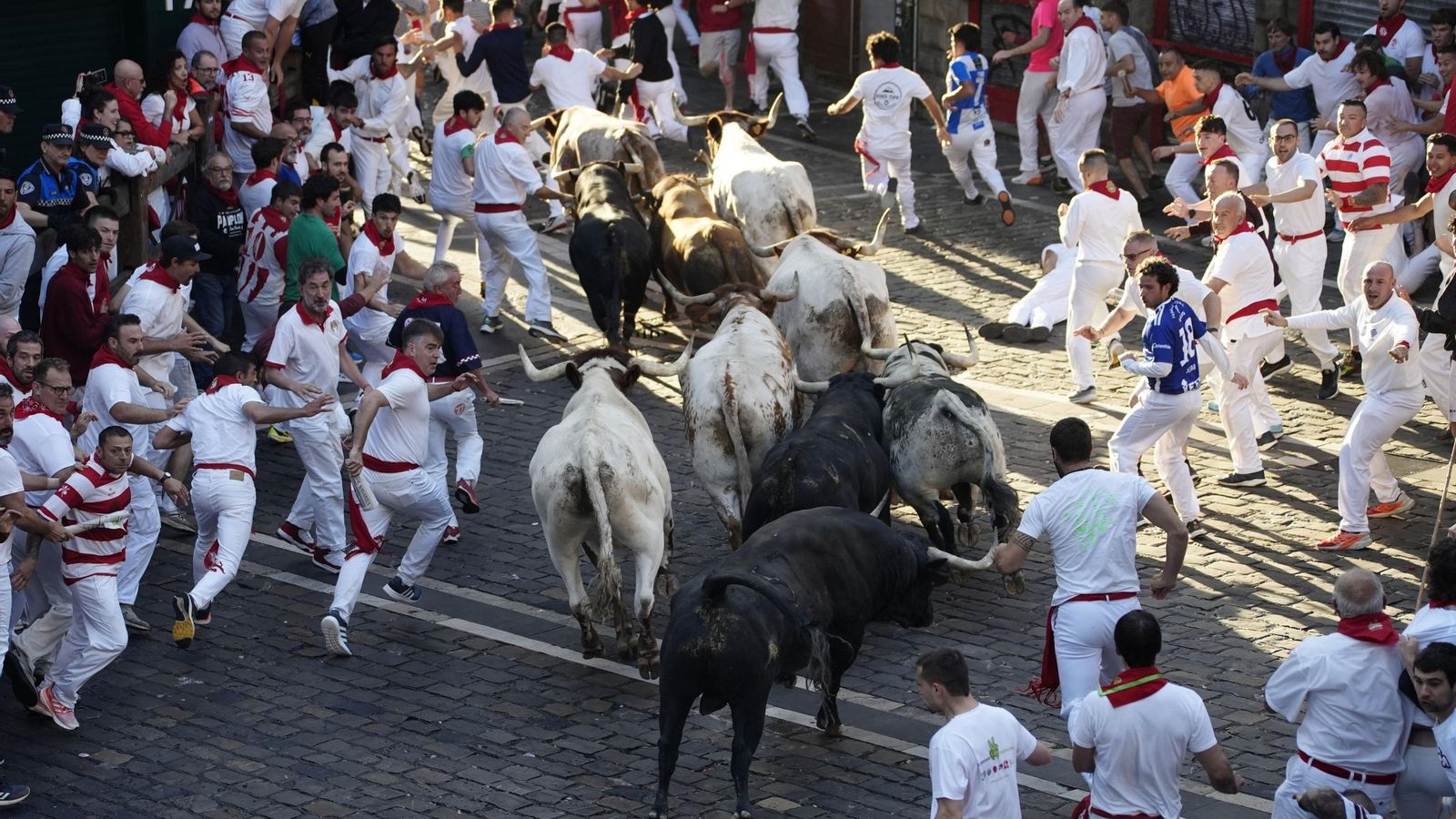 Las imágenes del encierro de los toros de Cebada Gago