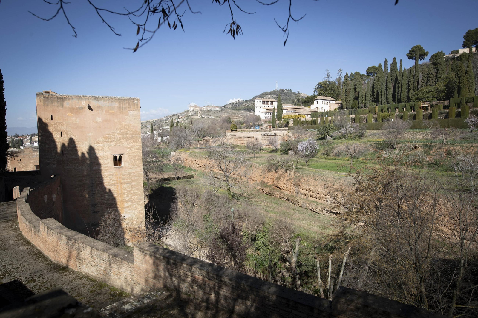 La Alhambra en flor...de invierno: las imágenes