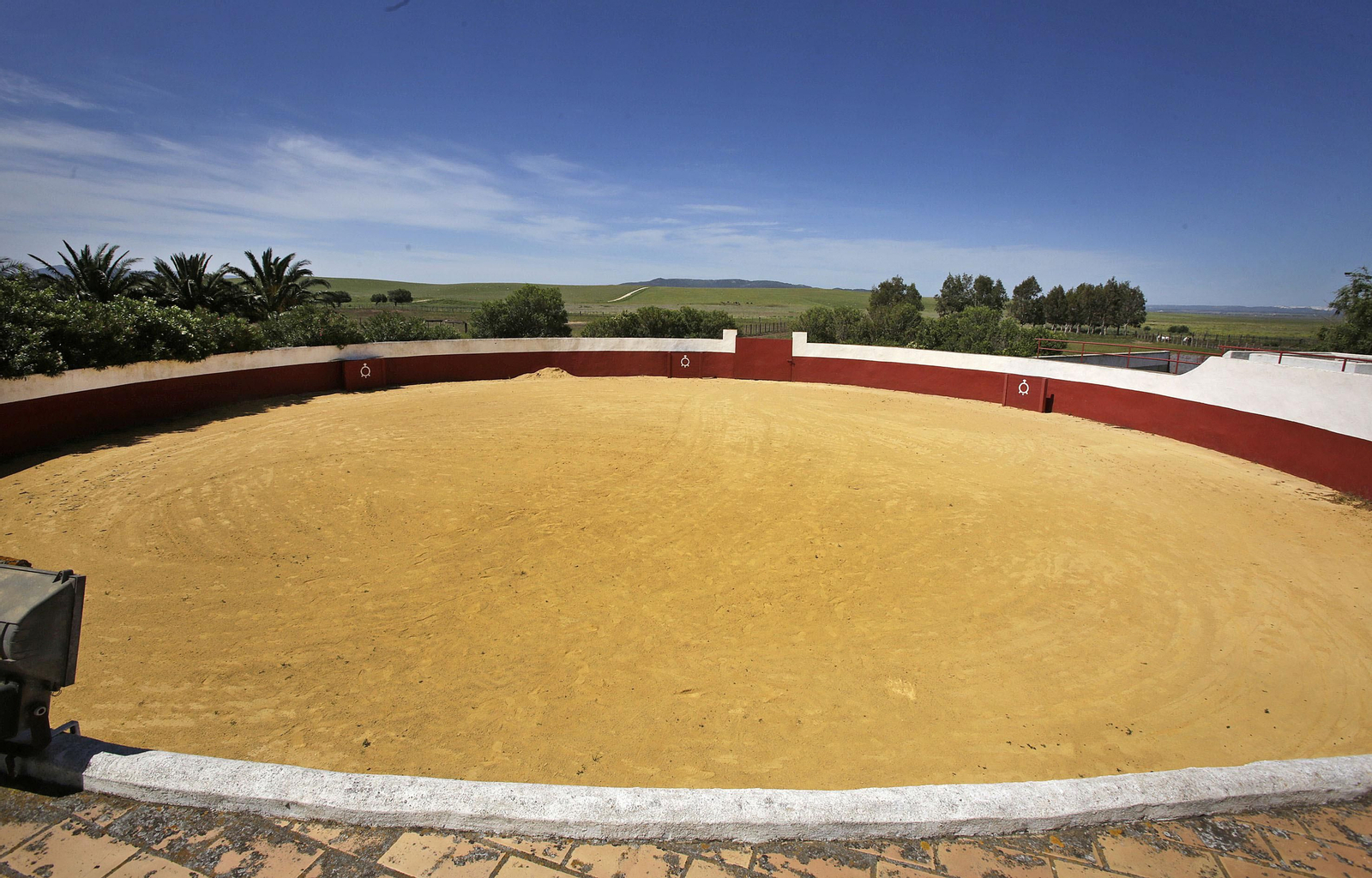 Mas cornadas da el virus, visita a la ganadería de Nuñez La Palmosilla