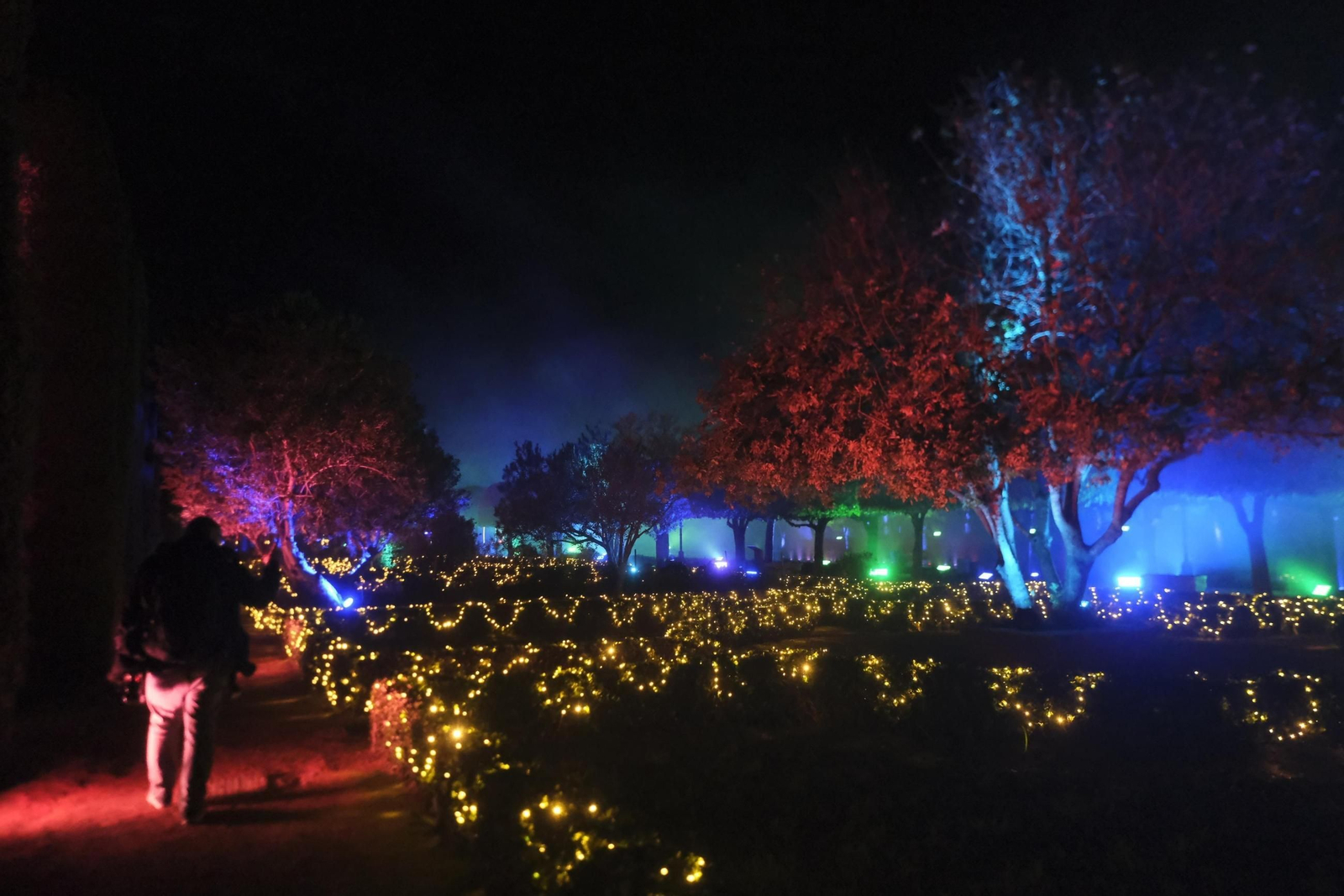 Espectáculo 'Naturaleza encendida' en los jardines del Alcázar de los Reyes Cristianos