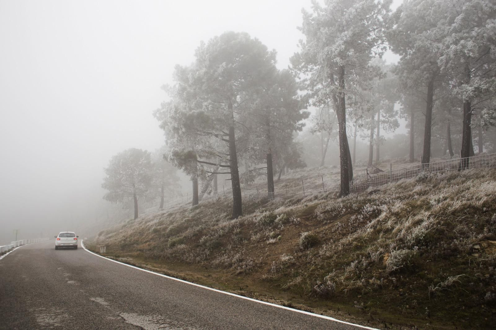 Mañana de hielo en la Sierra de Cádiz