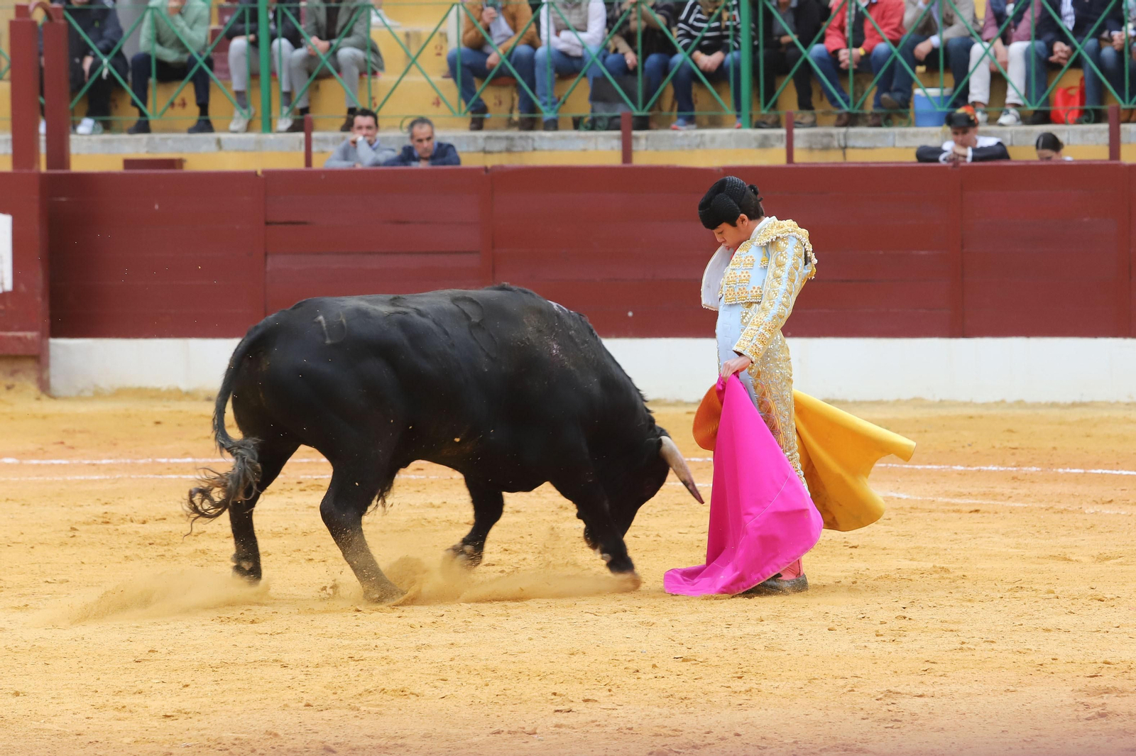 Imágenes de la novillada previa a la Semana Santa en la plaza de toros de La Línea