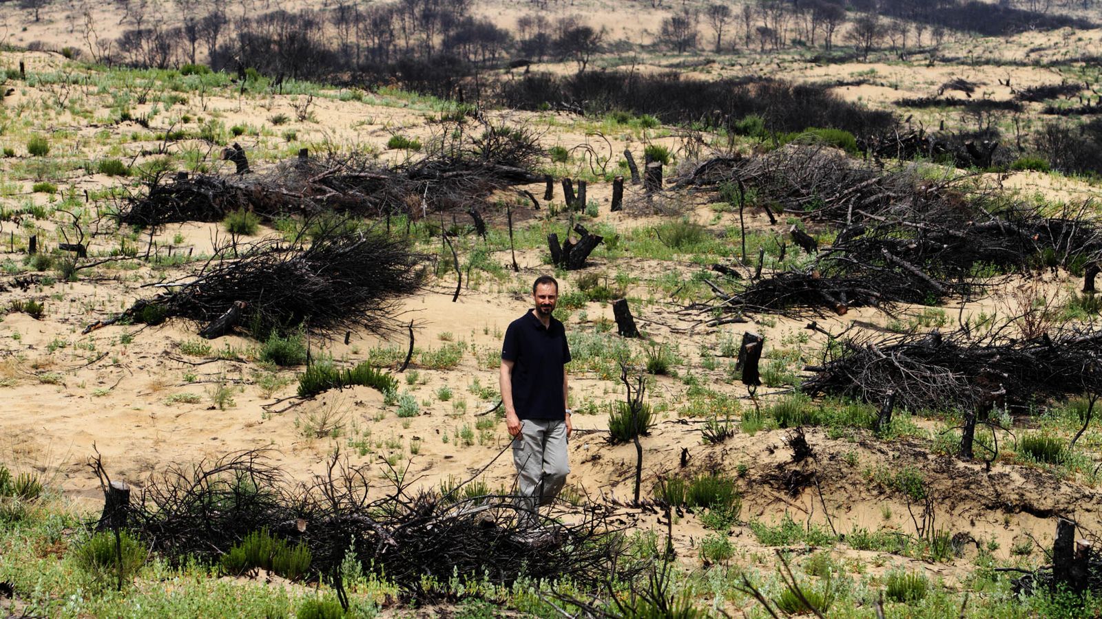Zona afectada por le incendio en 2017.
