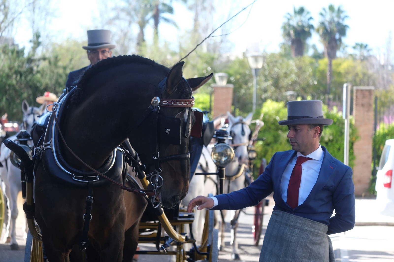 El desfile ecuestre con motivo de los 175 años de la Facultad de Veterinaria de Córdoba, en imágenes