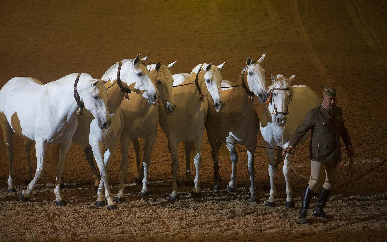 La inauguración de Sicab 2018, en imágenes