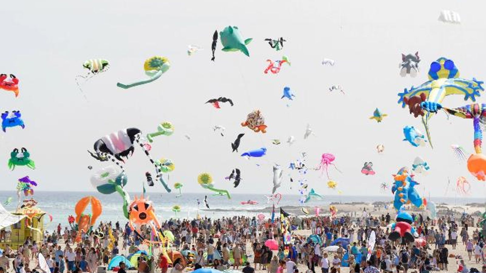 Clausura del festival en Corralejo.