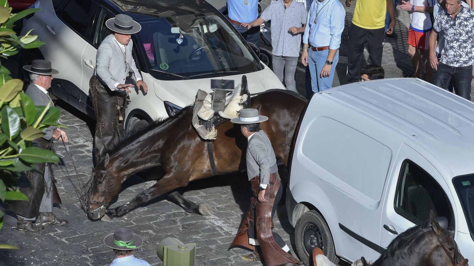 Un caballo se resbala y cae en San Jacinto, lo que provoca un gran alboroto.