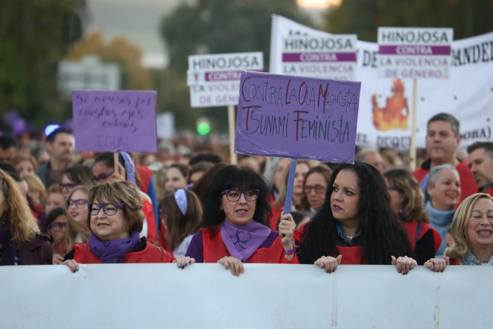 La manifestación del 25N en Córdoba, en imágenes