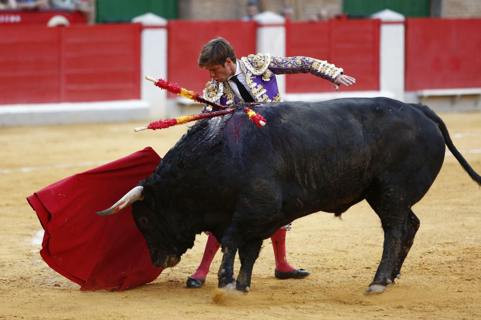 Las mejores imágenes de los toros en el Corpus