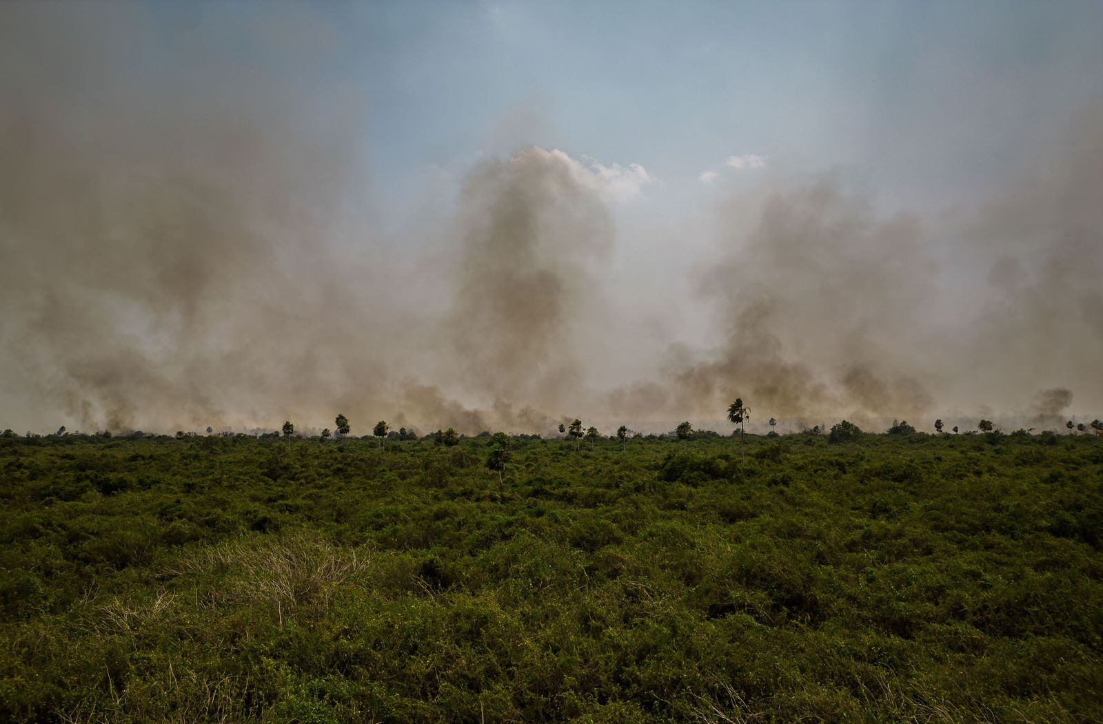 Las llamas convierten en una tumba al aire libre El Pantanal en Brasil
