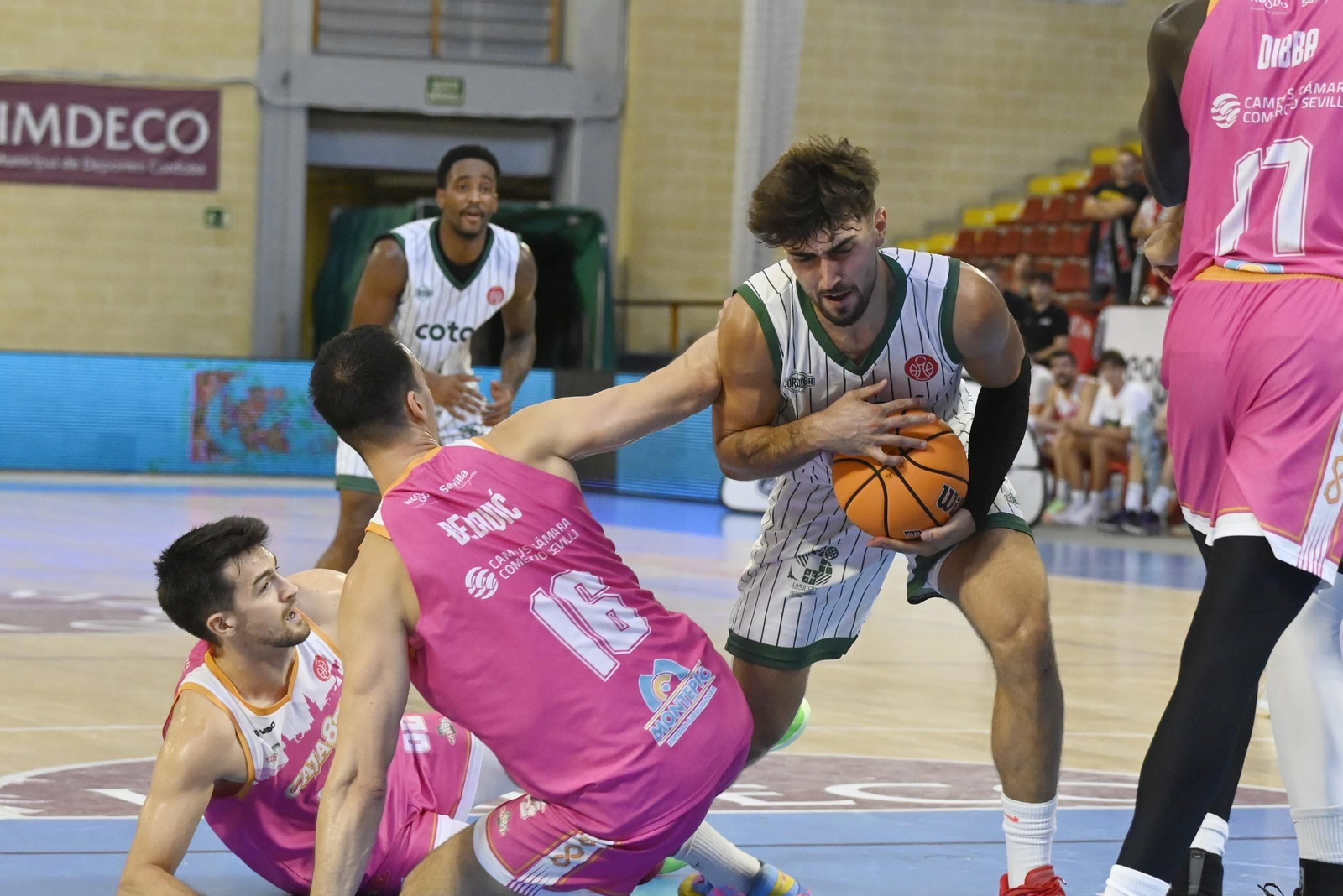 Las mejores fotos del Coto Córdoba - Caja 87 de la Copa de España en Vista Alegre