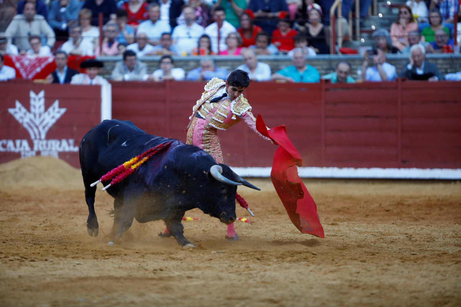 La presentación del novillero Manuel Román en Córdoba, en imágenes