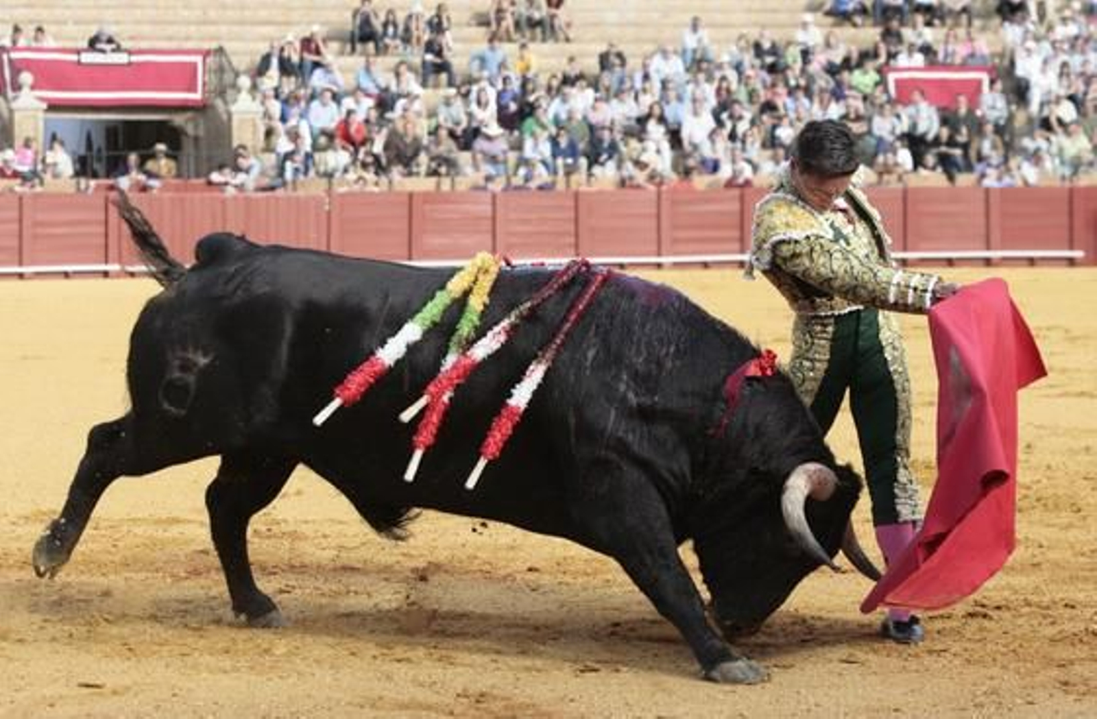Urdiales da una vuelta al ruedo tras una faena meritoria en la Maestranza.

Foto: Juan Carlos Muñoz