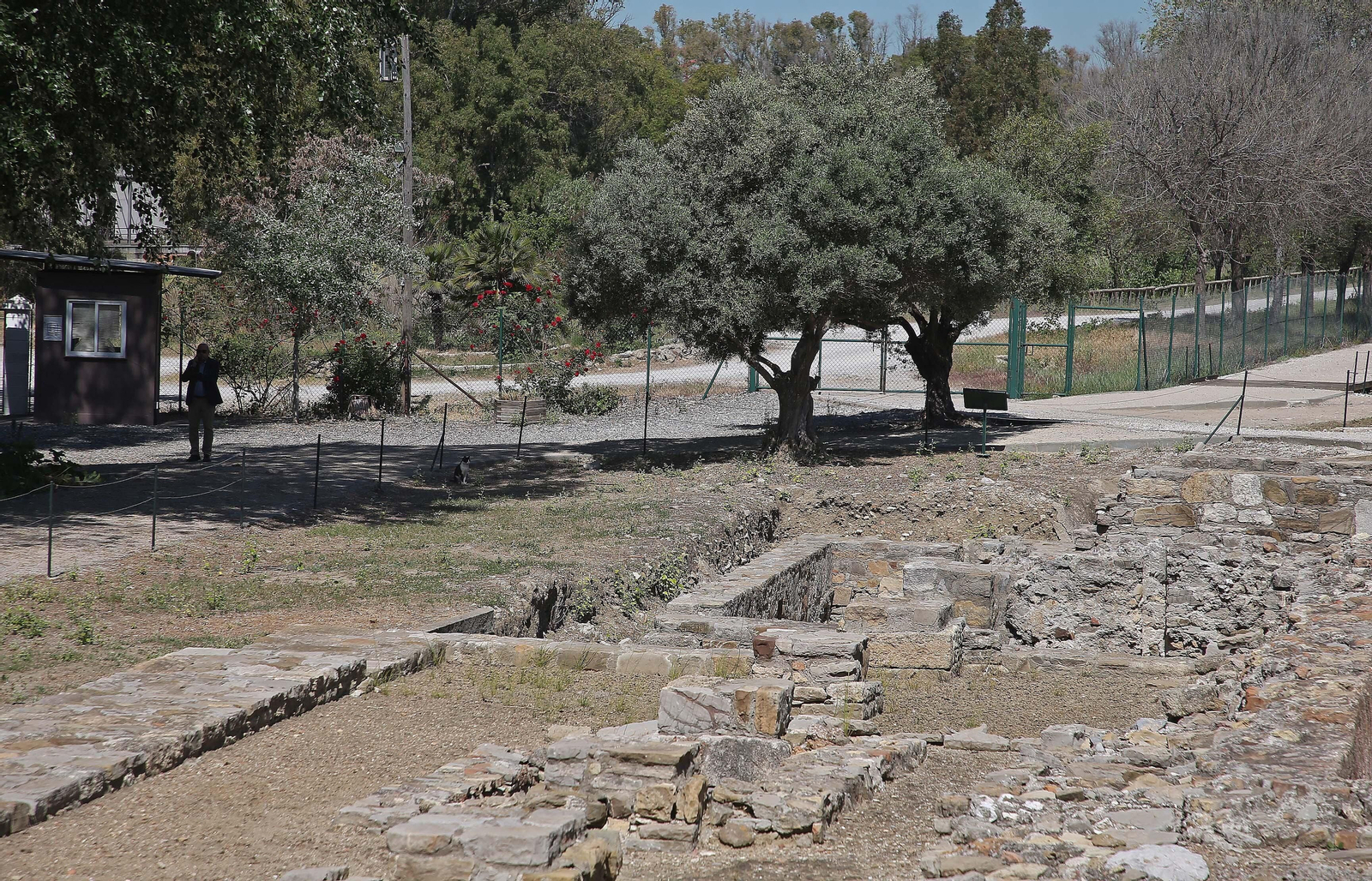 Fotos de la visita de Arturo Bernal al enclave arqueológico de Carteia.