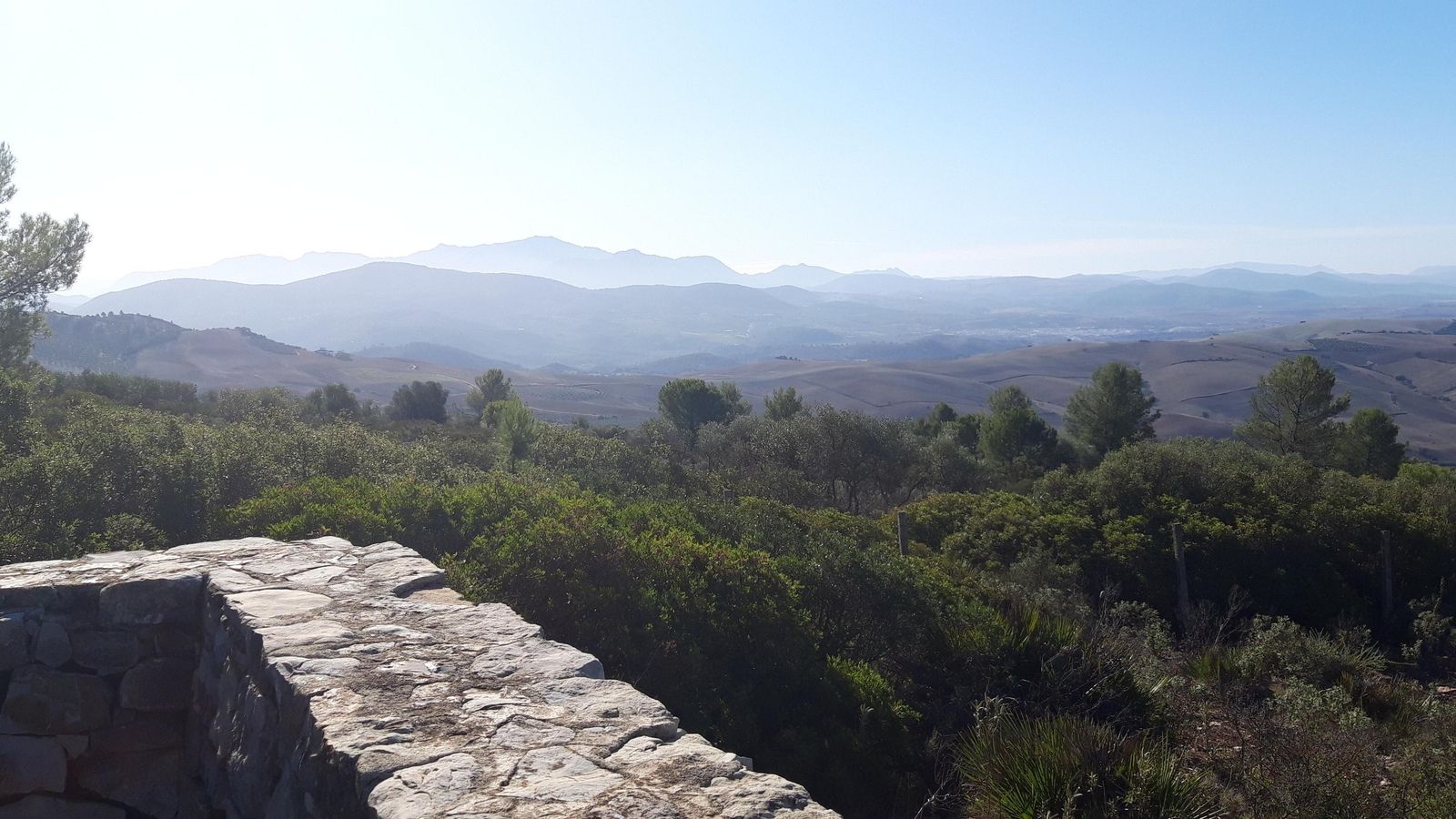 Las fotos de la ruta del castillo de Cote, en Montellano